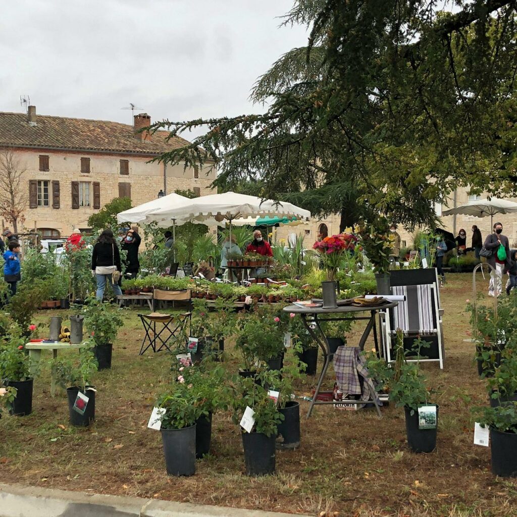 Foire Aux Plantes Villeneuve Sur Vere 2022